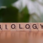 <h1>Meta-Learning for Gene Editing: Securing Biological Data on Distributed Ledgers</h1> Wooden letter blocks spelling 'Biology' on a table with a green background.