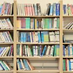 Vibrant books neatly arranged on library shelves in Fès, Morocco.