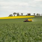 A red tractor spreads fertilizer on a lush green canola field under a cloudy sky.