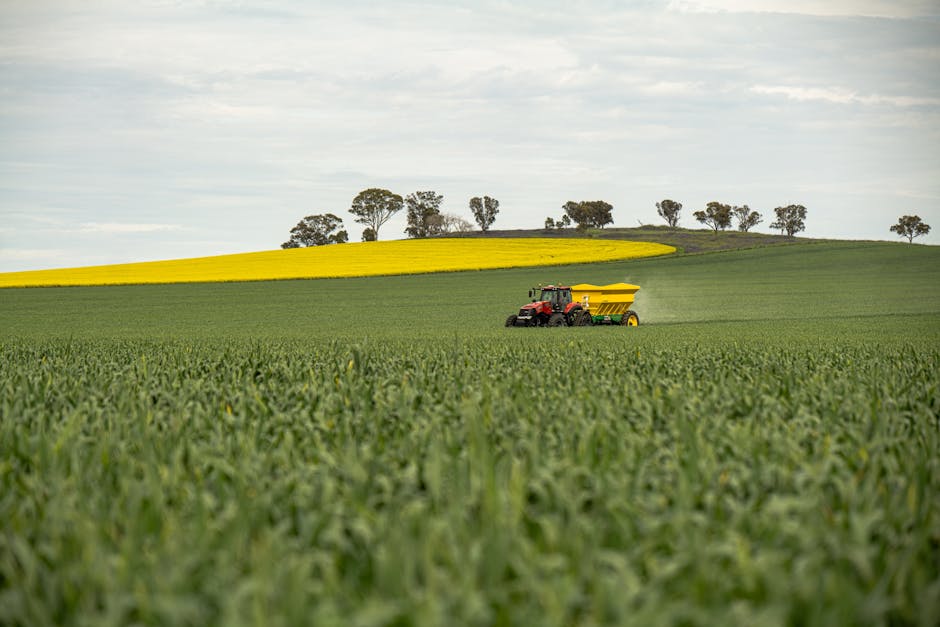 Physics-Informed Synthetic Fertilizers: Biotech Protocol