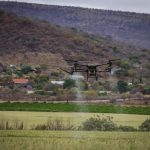 Risk-Sensitive AgTech: Optimizing Green Fertilizer Strategies High-tech drone spraying crops for precision agriculture in a rural setting.