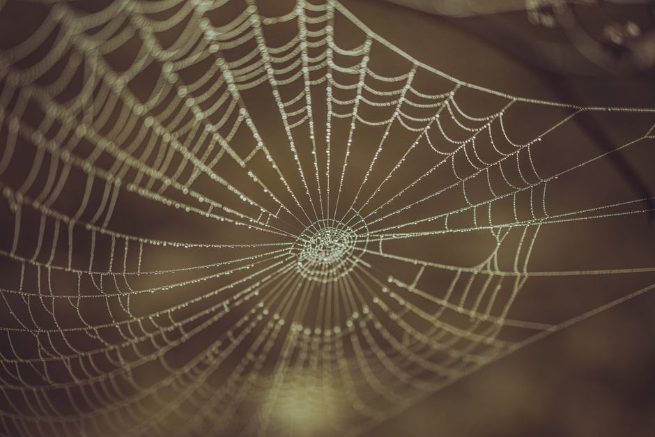 Safety-Aligned Semantic Web Protocols for Geoengineering