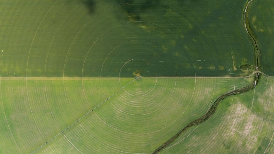Aerial view showcasing farming irrigation circles and a river beside green fields.