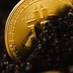 A close-up shot of a Bitcoin partially buried in soil, symbolizing digital currency growth.