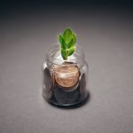 Sustainability as Strategy: Why Cultural Alignment Drives Long-Term Value Green plant growing from a jar filled with coins, symbolizing financial growth and investment.