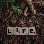<h1>Symbol-Grounded Agentic Systems: The New Standard for Distributed Ledgers</h1> Scrabble tiles spelling 'life' placed on soil with tree roots visible, symbolizing growth and nature.