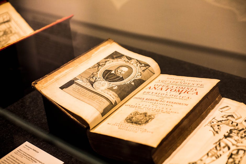 The Anatomy of Ambition: What Literature Teaches Leaders About Success