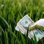 The Behavioral Economics of Environmental Impact in Business Crop faceless grower in garden gloves demonstrating heap of paper money with photo of unrecognizable person and numbers near growing lush grass