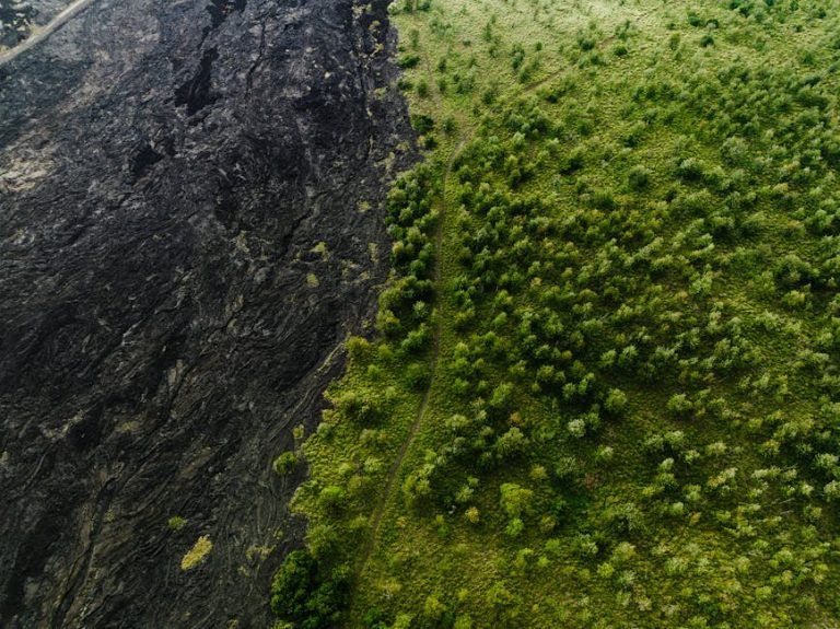 Drone capture of contrasting landscape: fresh lava flow meets vibrant green forest in Hawaii.