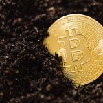 Close-up of a golden Bitcoin coin partially buried in soil, illustrating digital currency mining concept.
