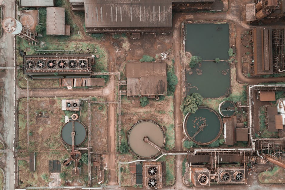 The Evolution of Environmental Aging: A Strategic Perspective