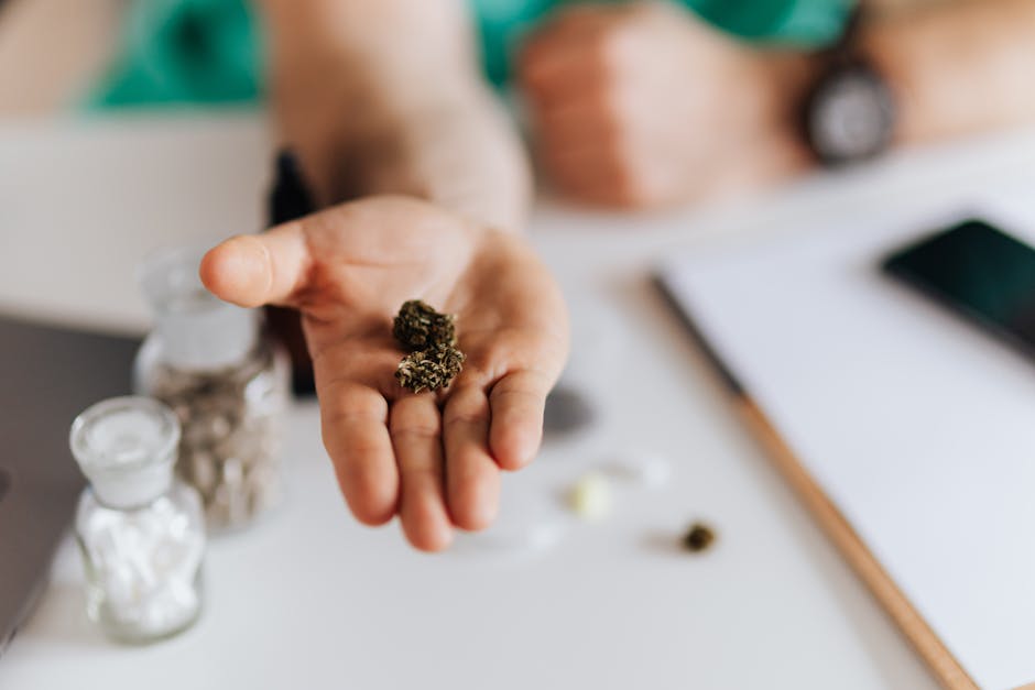 The Evolution of Wellness: How Medical History Defines Modern Strategy