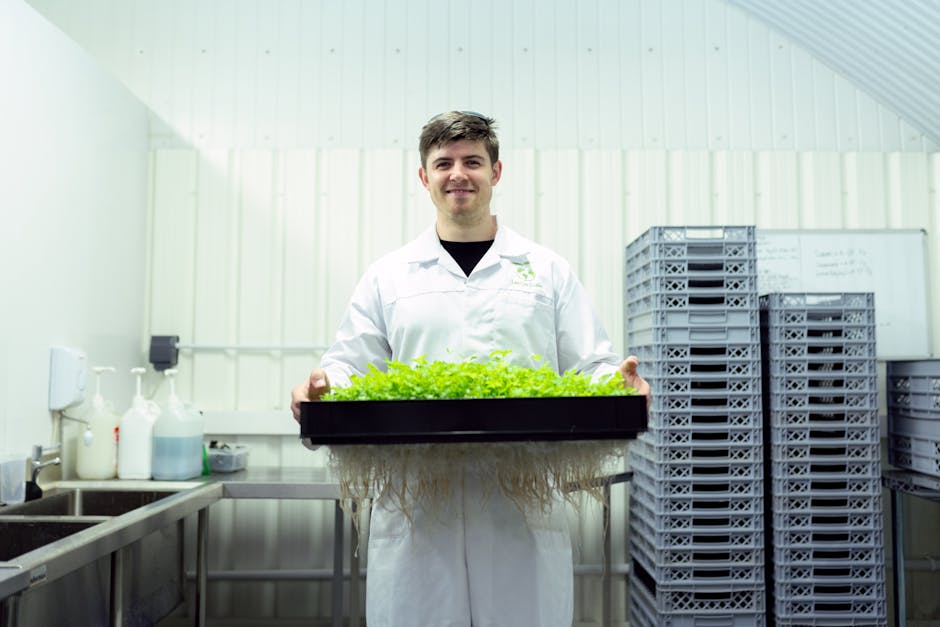 The Future of Agritech: Developing Competitive Carbon Removal Algorithms