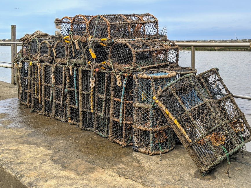 Lobster pots stacked by the water in Staithes, England, ready for fishing at the harbor.