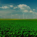 Panoramic view of wind turbines in a lush green field with a clear blue sky.