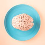 The Science of Privacy: Cognitive Load and Strategic Information Control A human brain model placed on a blue plate, viewed from above against a pastel background.