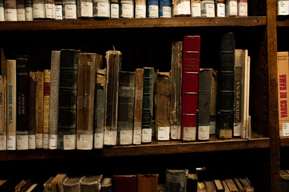The Stoic Archive: How Literary Resilience Defines Strategic Leadership