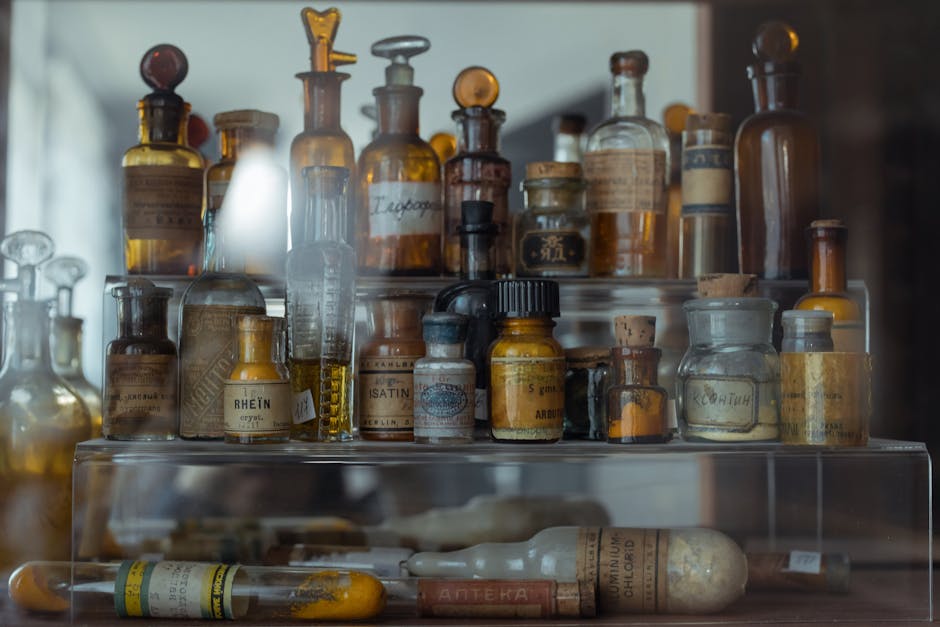 The Strategic History of Medicine: What Leaders Can Learn from Survival
