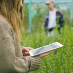 Side view of crop anonymous female gardener using digital device for taking picture of green plants in glasshouse