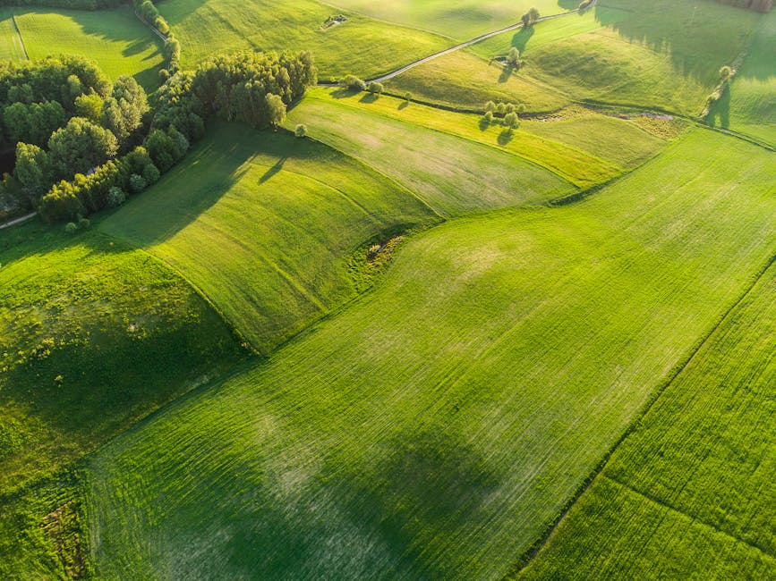 Topological Computing in Agritech: Optimizing Crop Yields