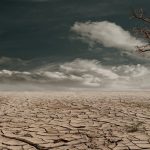 <h1>Topology-Aware Climate Adaptation: A New Paradigm for Geoengineering</h1> A solitary tree stands against a cracked, arid landscape under a cloudy sky, illustrating drought and desertification.