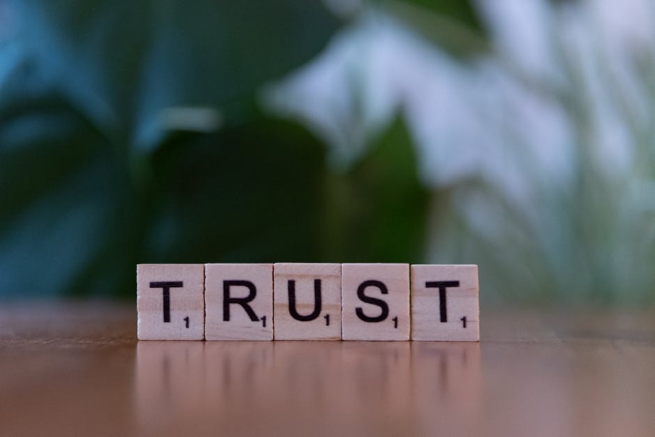 Trustworthy Zero-Knowledge Proofs: The Future of Transparent Geoengineering Governance