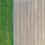 Aerial view showcasing contrasting green crops and tilled brown soil, highlighting agricultural patterns.
