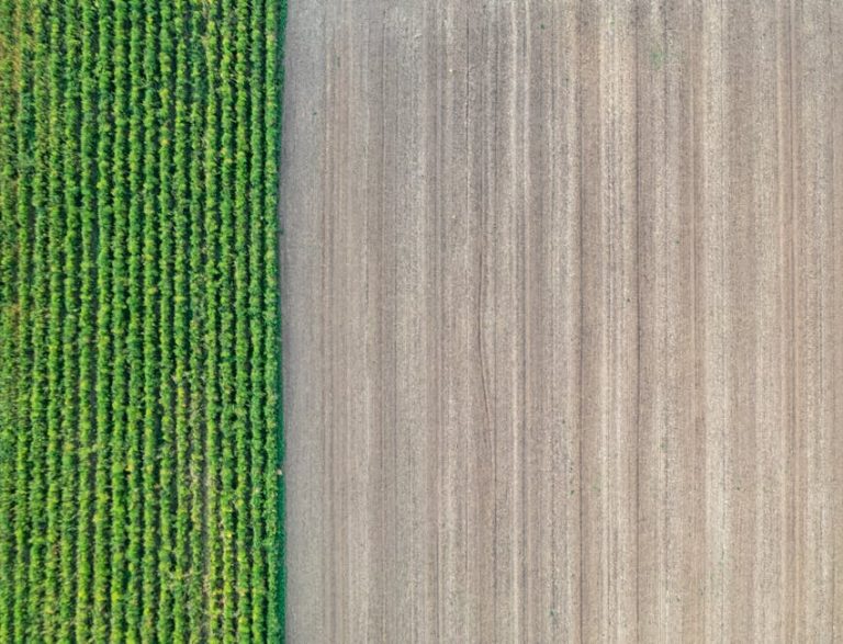 Aerial view showcasing contrasting green crops and tilled brown soil, highlighting agricultural patterns.