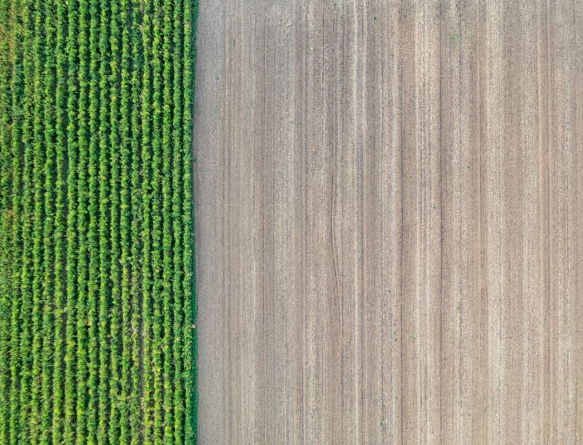 Unifying Agritech Data With Multimodal Category Theory
