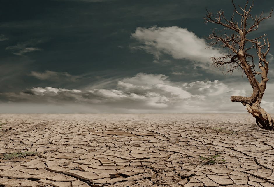 Zero-Shot Climate Adaptation Simulator: Urban Resilience Guide