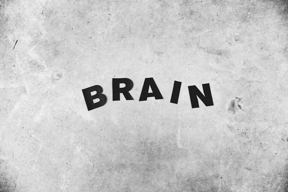 Black and white backdrop of Brain title with highlighted letters on gray wall with rough surface