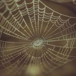 Detailed close-up of a spiderweb with dew drops, showcasing natural patterns and texture.