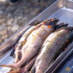 Aquaculture Automation: Scaling Food Security with AI and Data Raw salmon and trout with roe, placed on a digital scale outdoors, ideal for fisheries and culinary imagery.