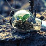 Artificial Photosynthesis: The Future of Energy Autonomy A small plant sprouts in soil inside a light bulb, symbolizing eco-friendly and sustainable growth.