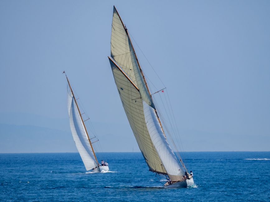 Two classic sailboats glide gracefully on blue ocean waters during a sunny day, showcasing maritime elegance.