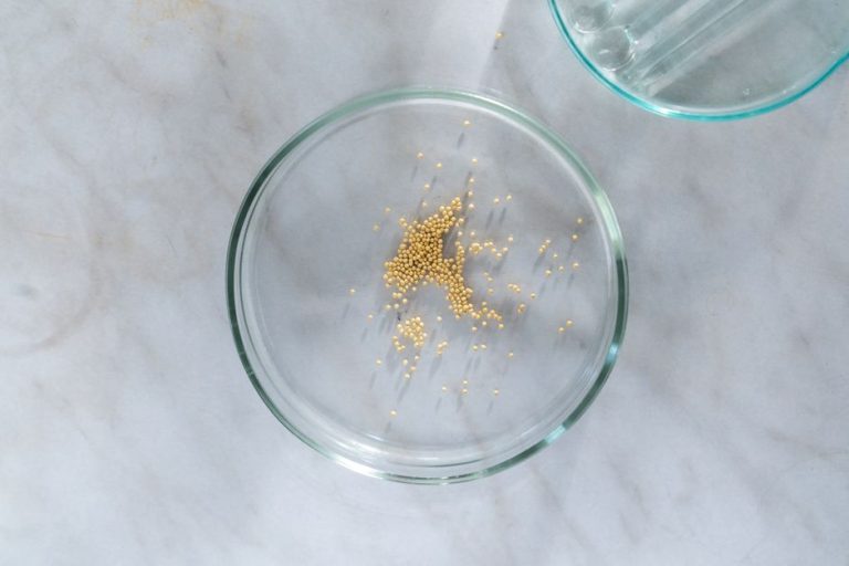 Top view of mustard seeds in a clear petri dish on a marble surface.