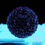 A digital rendering of a virus cell with neon highlights, emphasizing its structure.