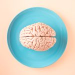 A human brain model placed on a blue plate, viewed from above against a pastel background.