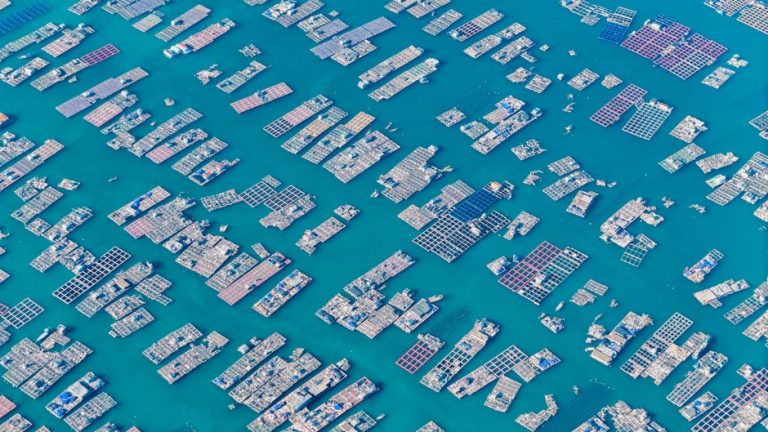 Aerial photo capturing extensive fish farms with grid-like structures in deep blue waters.