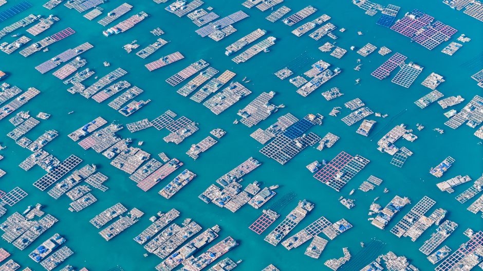 Aerial photo capturing extensive fish farms with grid-like structures in deep blue waters.