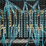 Digital Caste Systems: How Algorithmic Bias Shapes Business Overhead view of similar bright cables with plastic connectors in fiber optical switch
