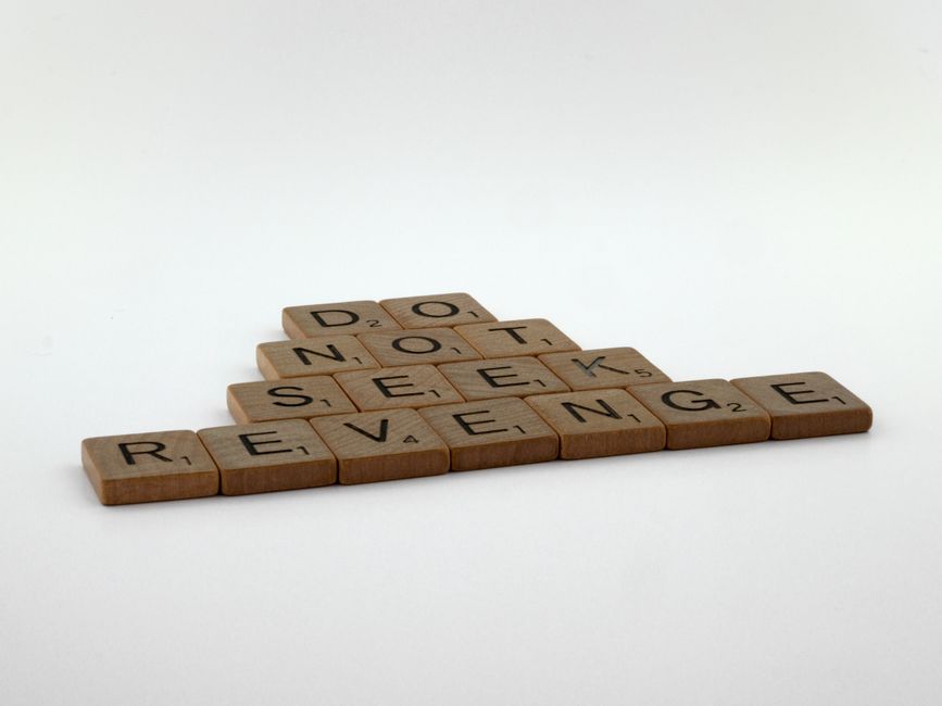 Wooden letter tiles on white background spelling 'DO NOT SEEK REVENGE'.