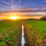 Idyllic sunset over vibrant green fields and serene countryside landscape.