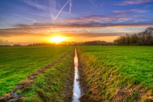 Idyllic sunset over vibrant green fields and serene countryside landscape.