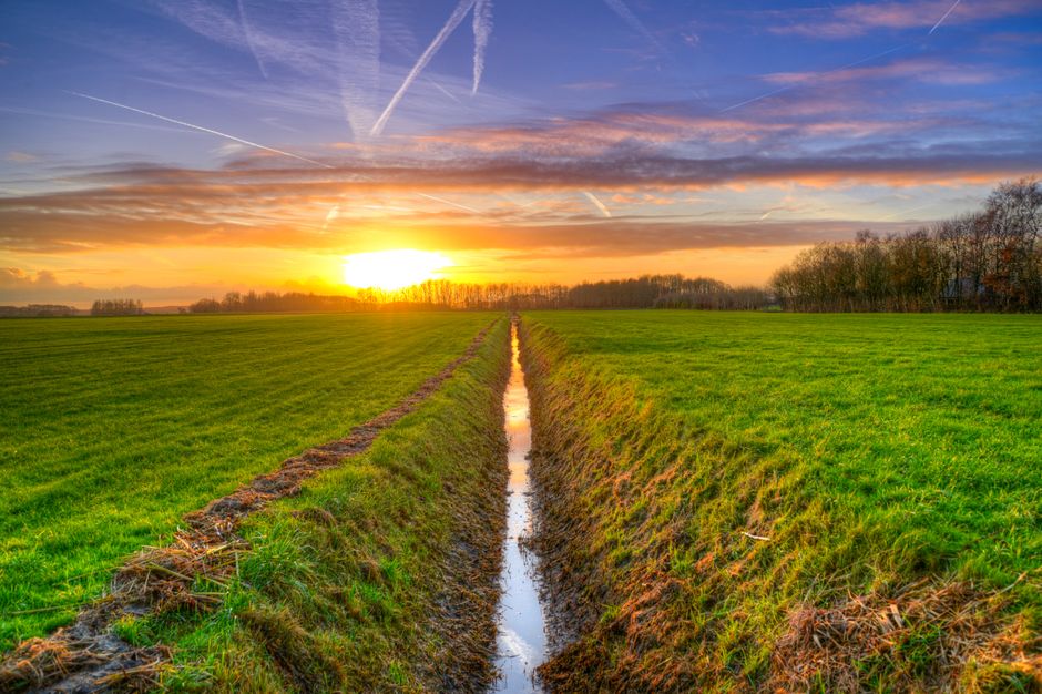 Idyllic sunset over vibrant green fields and serene countryside landscape.