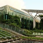 Ecological Synthesis: Building Resilient Complex Systems Eco-friendly building with rooftop gardens and solar panels in an urban setting, captured in daylight.
