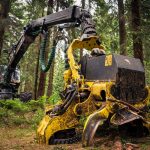 Forestry Automation: Redesigning Strategy for Operational Gains A powerful forest harvester operating amidst lush greenery, showcasing forestry machinery.