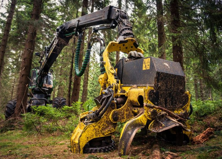 A powerful forest harvester operating amidst lush greenery, showcasing forestry machinery.
