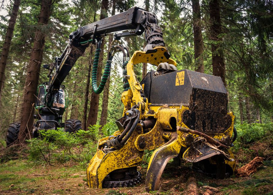 A powerful forest harvester operating amidst lush greenery, showcasing forestry machinery.