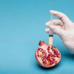 Creative representation of genetic modification with a syringe injecting a pomegranate.